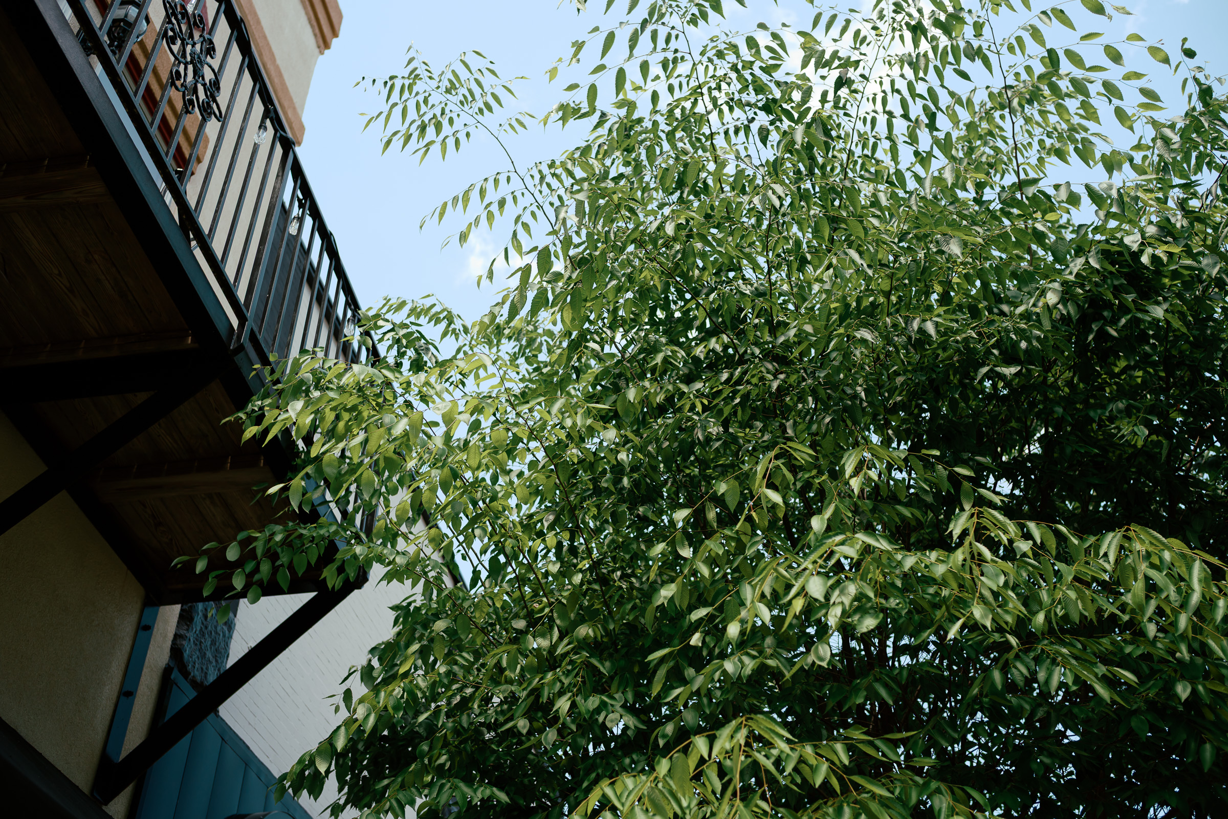 Together showcase background 7