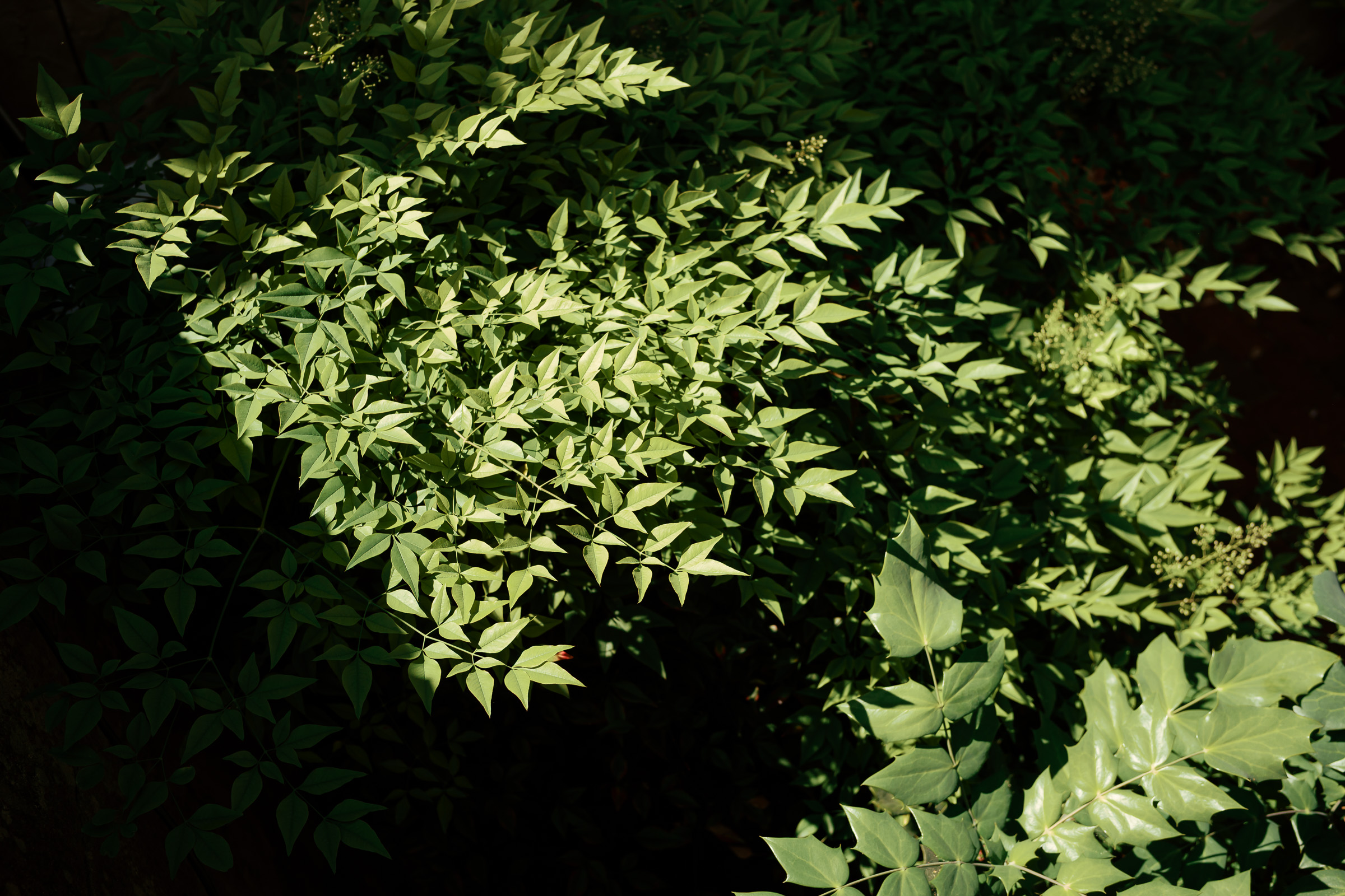 Together showcase background 8