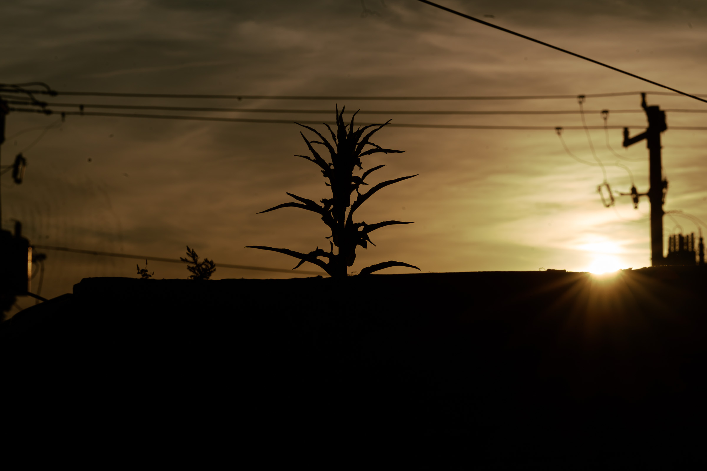 Together showcase background 10