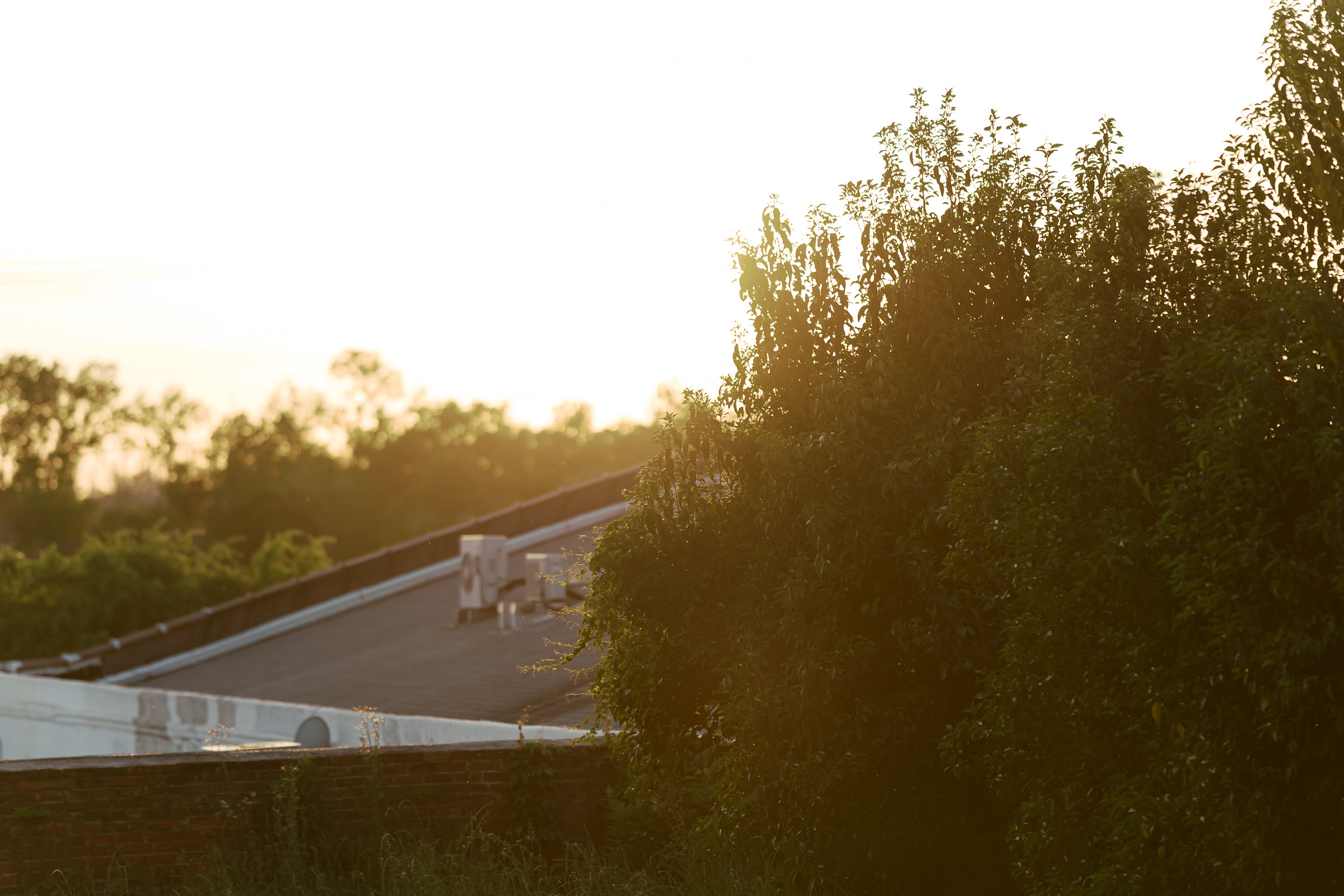 Together showcase background 3