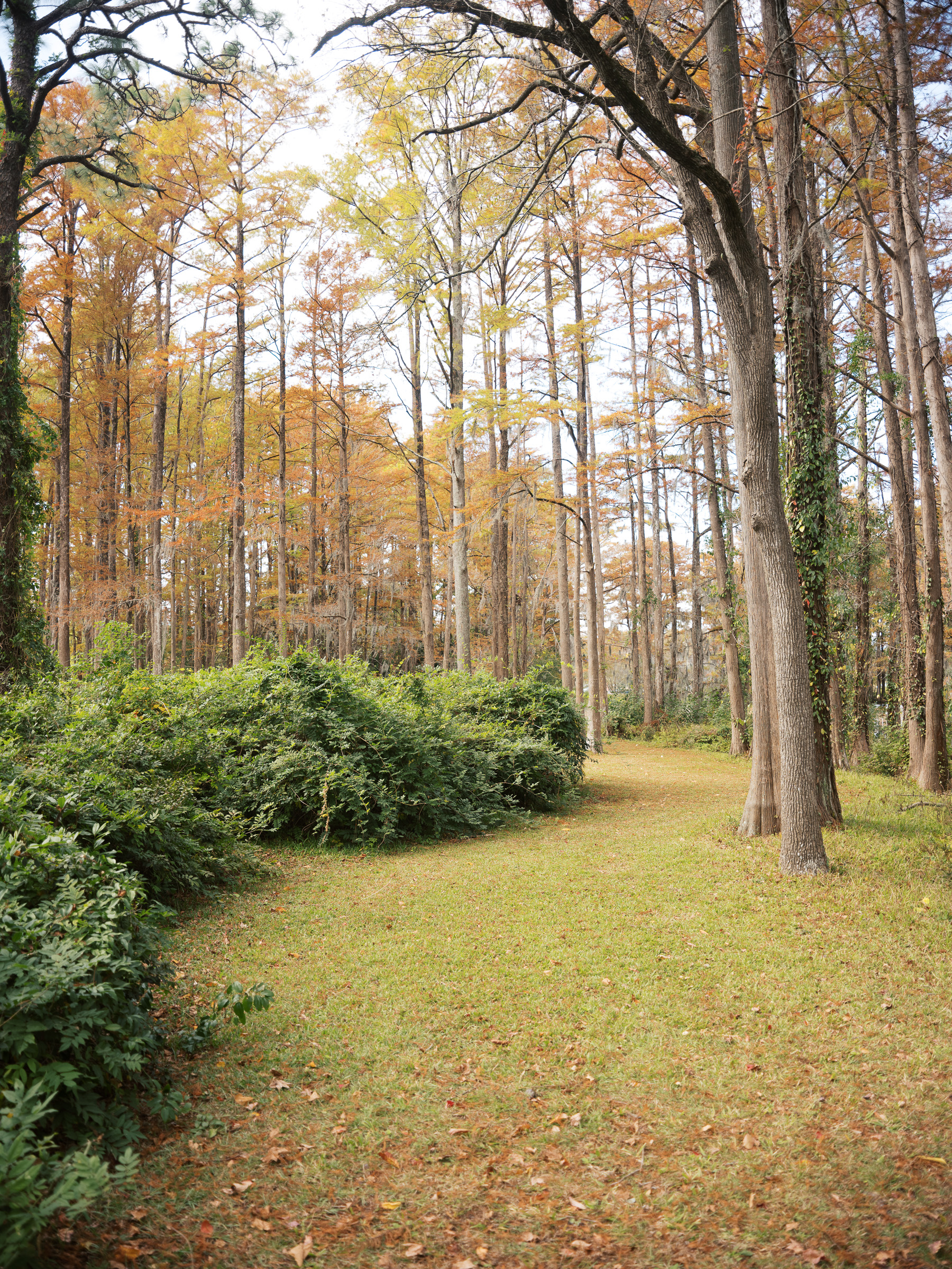 Family session hero photograph 11