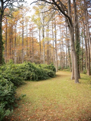 Family session hero photograph 11